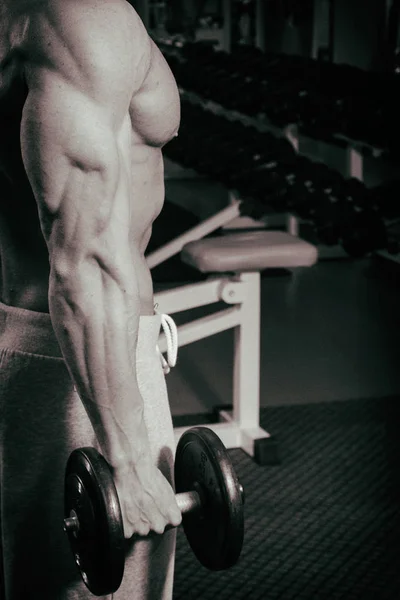 Bíceps grandes com halteres — Fotografia de Stock