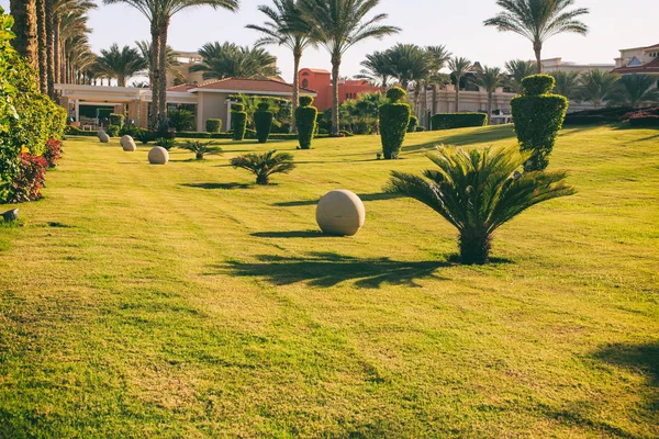 Palmiye ağaçları olan bir tatil köyü. — Stok fotoğraf