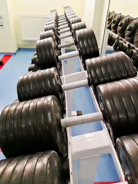 Hantlar Staplade Modernt Gym — Stockfoto