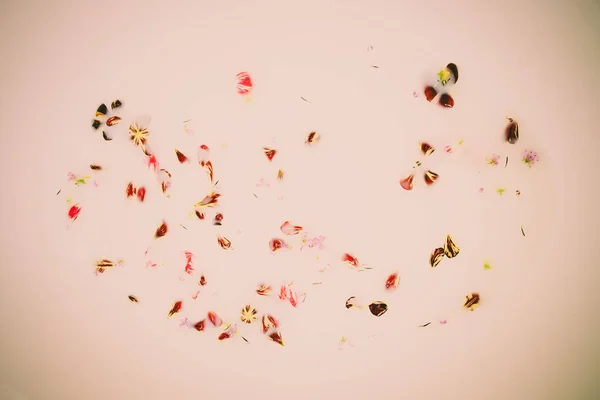 Abstract background. Flowers in a bath with milk — Stock Photo, Image