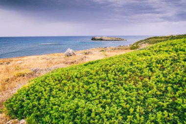 Deniz gezisi teması nda Arka Plan