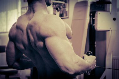 Sporcu kollarını arkadan eğitir.