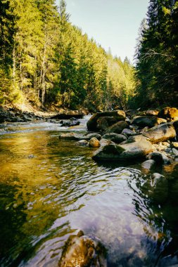 Muhteşem dağ nehir ve orman manzarası