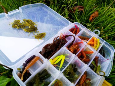 Balık tutma kavramı: Yemler ve iplik