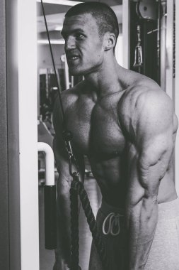 Spor serin vücut geliştirmeci