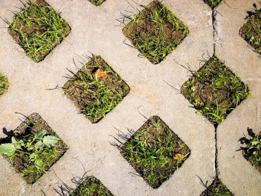 arka plan beton çim