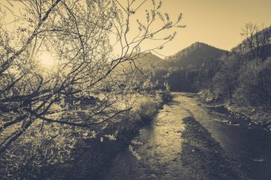 Şık nehir ve dağ manzarası