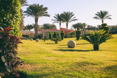 Palmiye ağaçları olan bir tatil köyü.