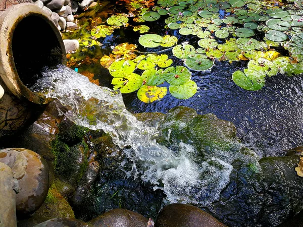 Cascata da un vecchio vaso — Foto Stock