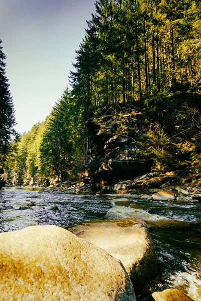 Nádherné horské řeky a lesní krajina — Stock fotografie