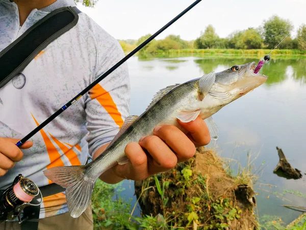 Visser gevangen een vis houden in zijn hand — Stockfoto