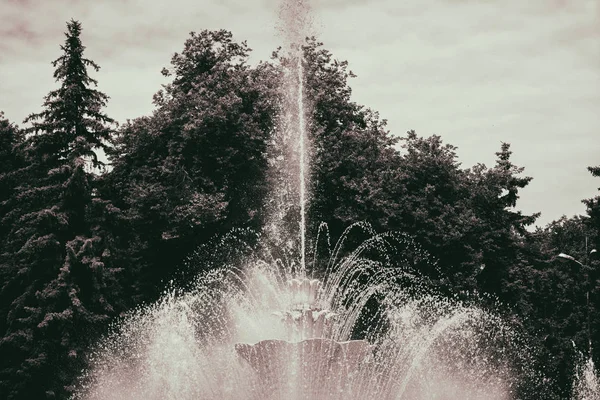 Krásná fontána v parku — Stock fotografie