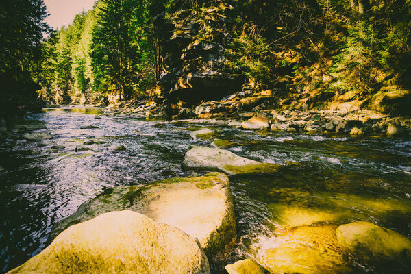 Magnificent mountain river and forest landscape