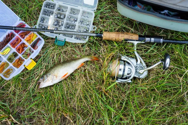 Concepto de pesca: aparejos, caña de pescar, peces en la hierba — Foto de Stock