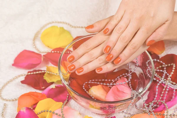 Mains avec des ongles rouges sur bol pétales de rose — Photo