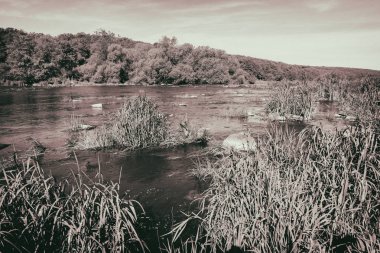 Muhteşem doğa, güzel ormanları ve çayırlar