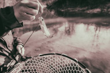 Bir balıkçı tarafından alabalık yakaladı