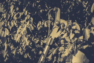 Bahçe Kur ve Sebze Bahçesi