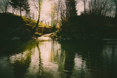 Muhteşem manzara, dağ nehir, yaban hayatı