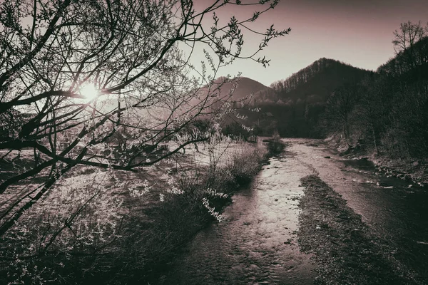 Şık nehir ve dağ manzarası