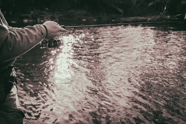 Pescador pega uma truta em um rio de montanha — Fotografia de Stock