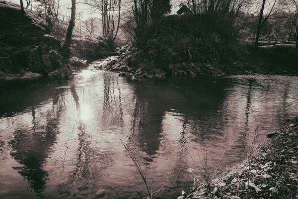 Nádherná krajina, horská řeka, volně žijící zvířata — Stock fotografie