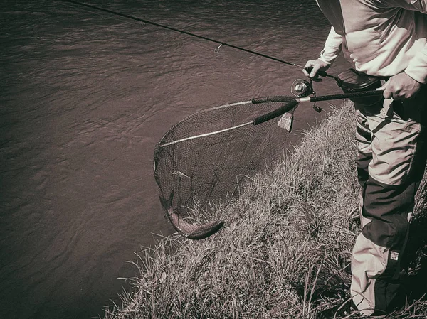 Aktiva spinning fiske på älven — Stockfoto