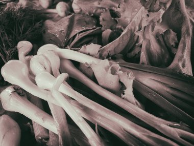 taze yeşil salata ve soğan