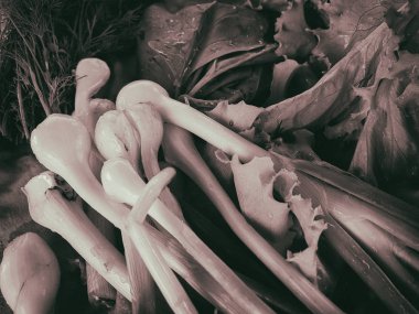 taze yeşil salata ve soğan