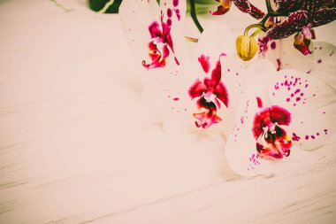 Ahşap beyaz zemin üzerine güzel çiçekler