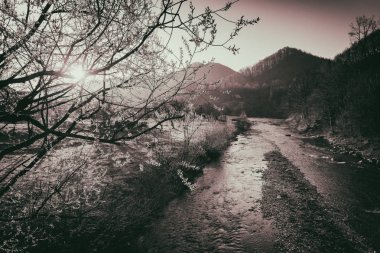 Şık nehir ve dağ manzarası