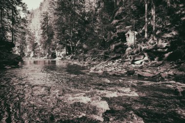 Muhteşem dağ nehir ve orman manzarası