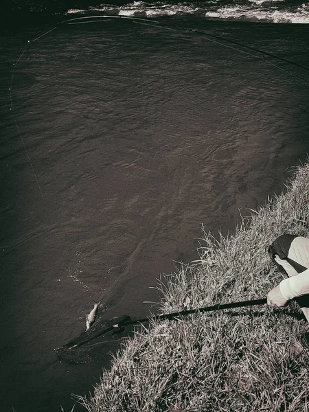 Pesca ativa giratória no rio — Fotografia de Stock