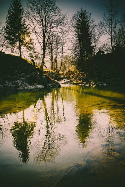 Magnificent landscape, mountain river, wildlife — Stock Photo, Image