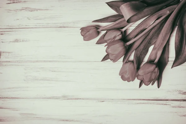 Lindas flores em um fundo branco de madeira — Fotografia de Stock
