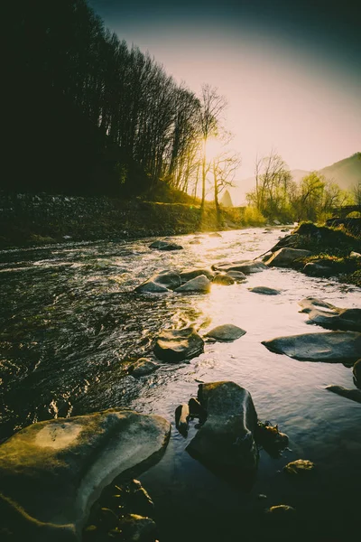 Великолепный пейзаж, горная река, дикая природа — стоковое фото