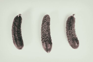 Beyaz bir arka plan üzerinde güzel, sulu organik salatalık