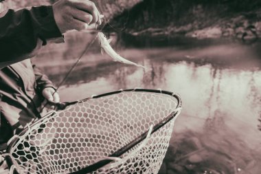 Bir balıkçı tarafından alabalık yakaladı