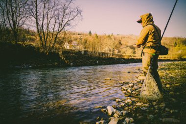 Balıkçı bir alabalık bir dağ nehir üzerinde yakalar.