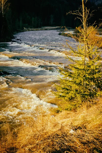 Красивая горная река, сказочный пейзаж — стоковое фото