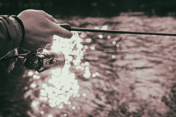 Vissen op de rivier — Stockfoto