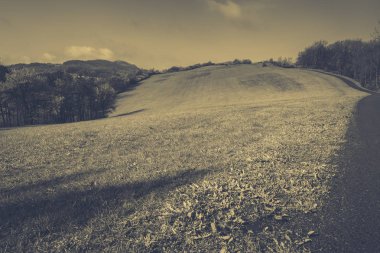 Dağlık arazinin zarif görünümü