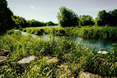 Muhteşem doğa, güzel ormanları ve çayırlar
