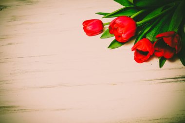 Ahşap beyaz zemin üzerine güzel çiçekler