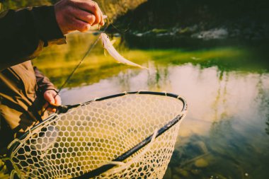 Bir balıkçı tarafından alabalık yakaladı