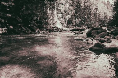 Muhteşem dağ nehir ve orman manzarası