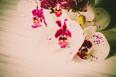 Ahşap beyaz zemin üzerine güzel çiçekler