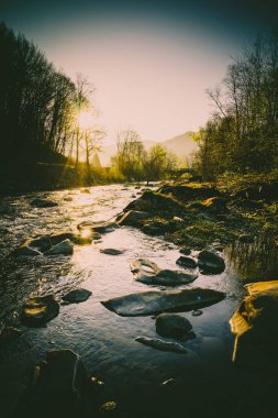 Muhteşem manzara, dağ nehir, yaban hayatı
