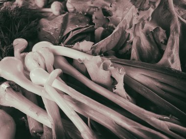 taze yeşil salata ve soğan