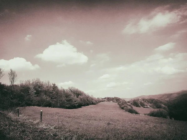 Magnificent nature, beautiful forests and meadows — Stock Photo, Image